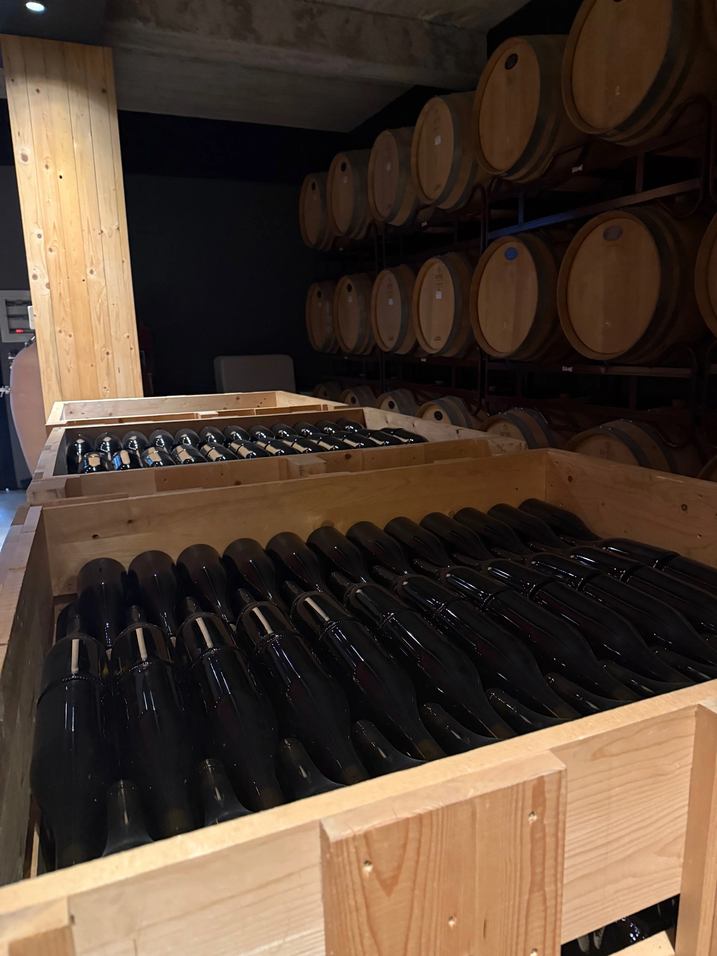 Ribera del Duero wine region, Spain 2024