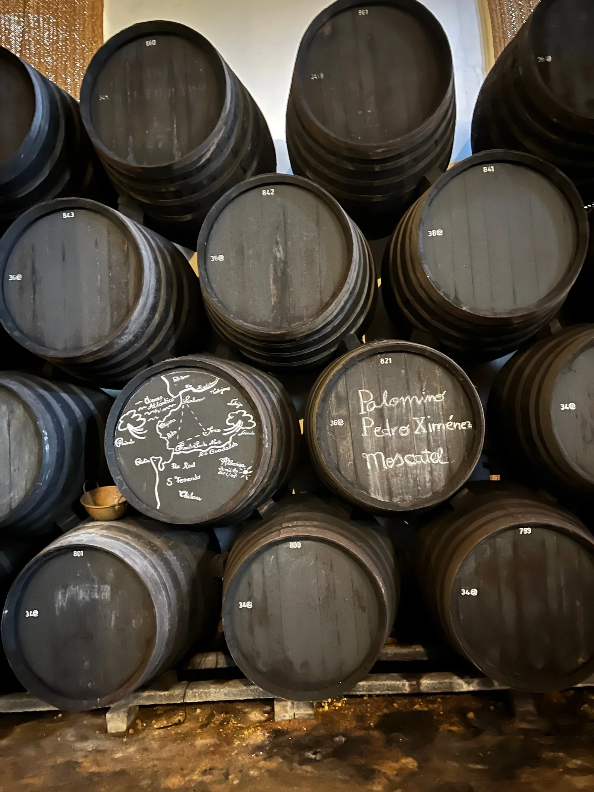 Jerez wine region, Spain 2024