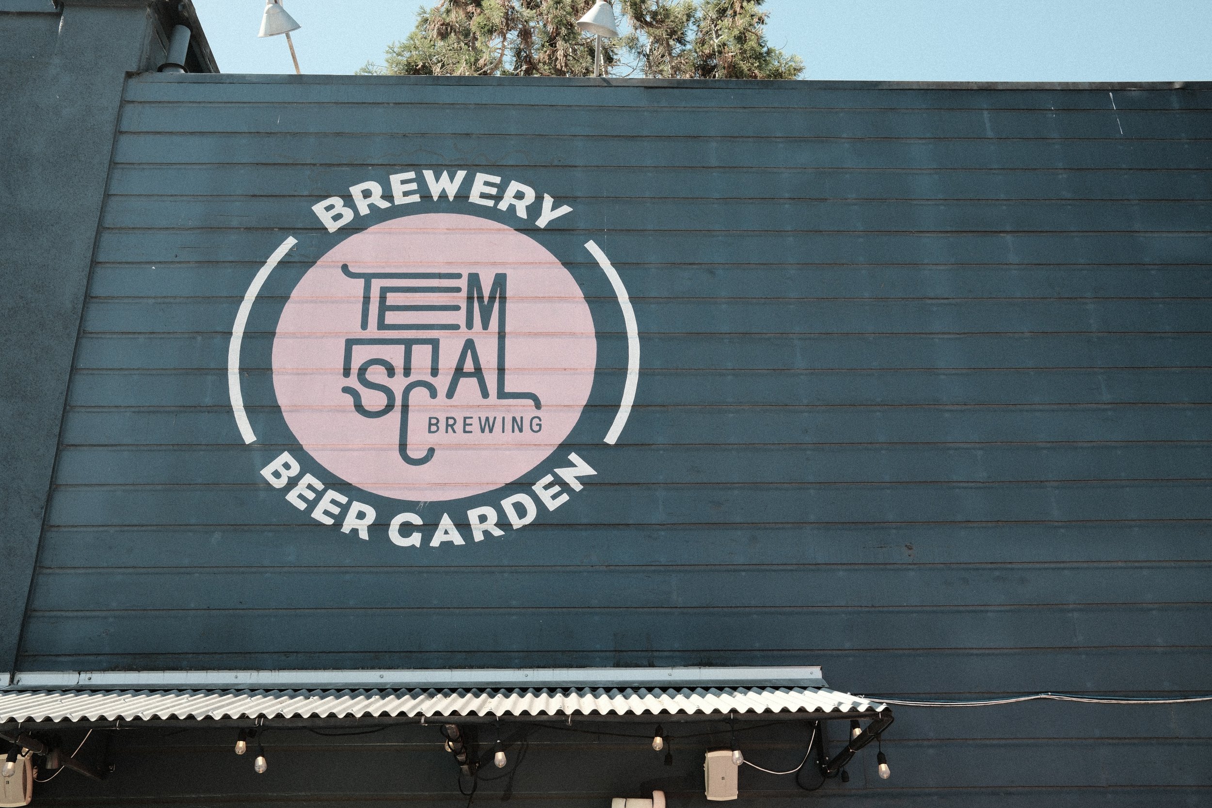 Pleasure Reading at Temescal Brewing