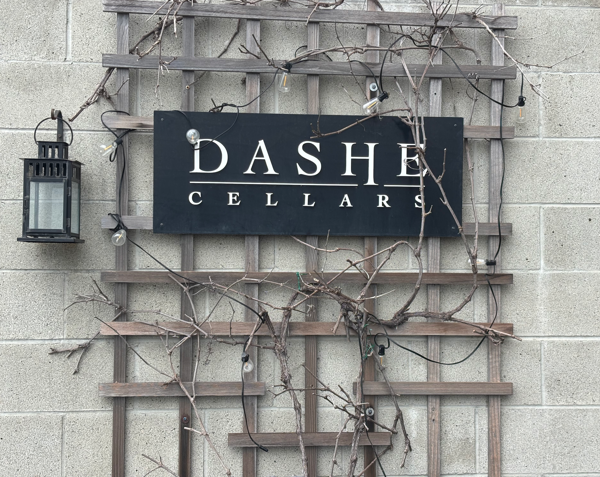 Pleasure Reading at Dashe Cellars