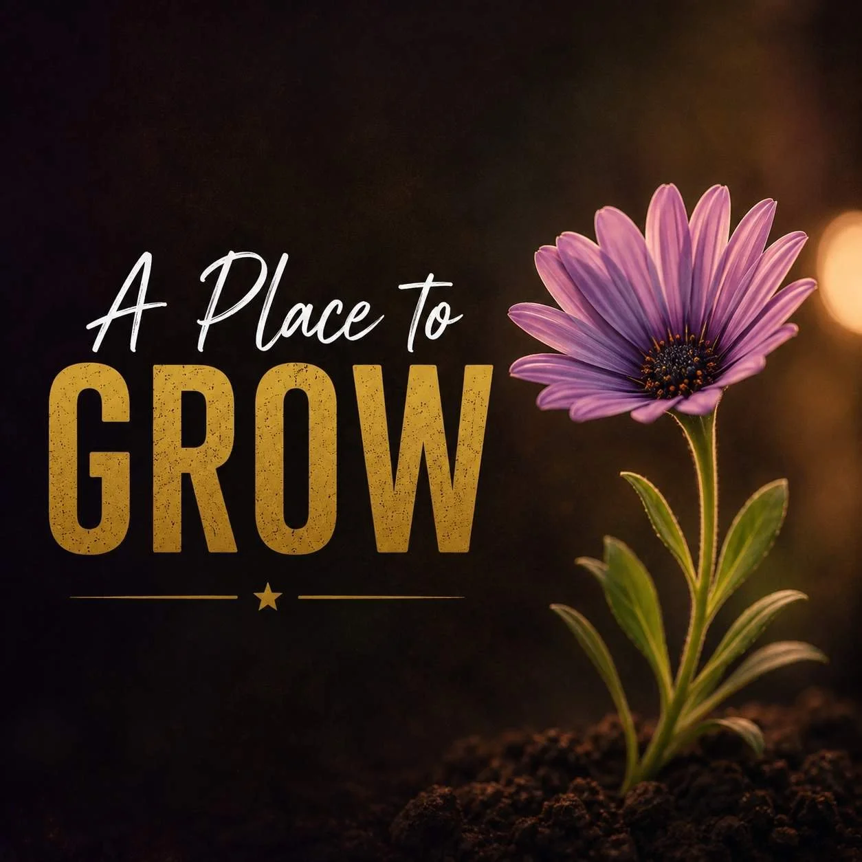 Purple flower blooming from rich soil, symbolizing growth, confidence, and personal development.