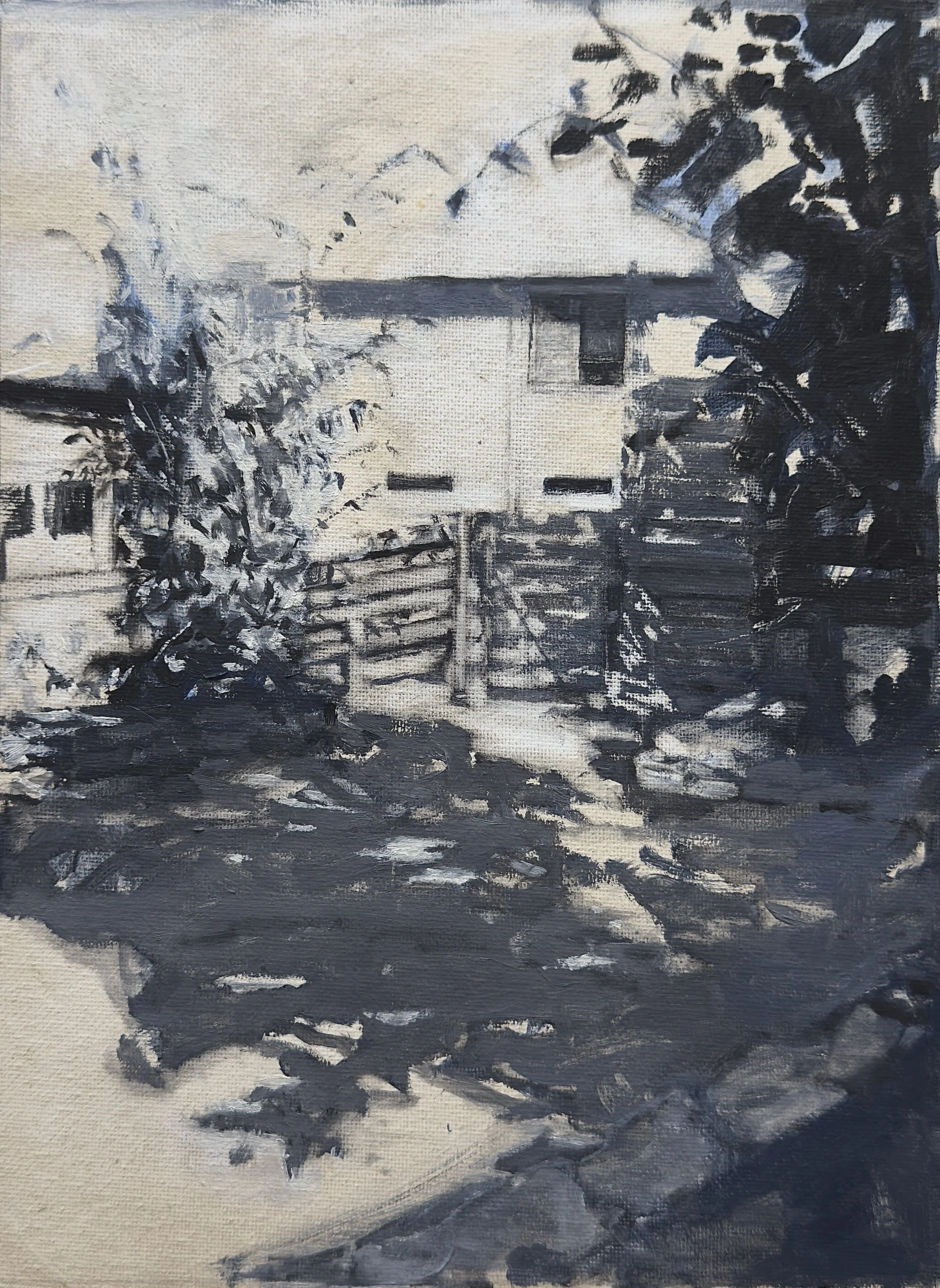 Bonnie's Backyard
oil sketch