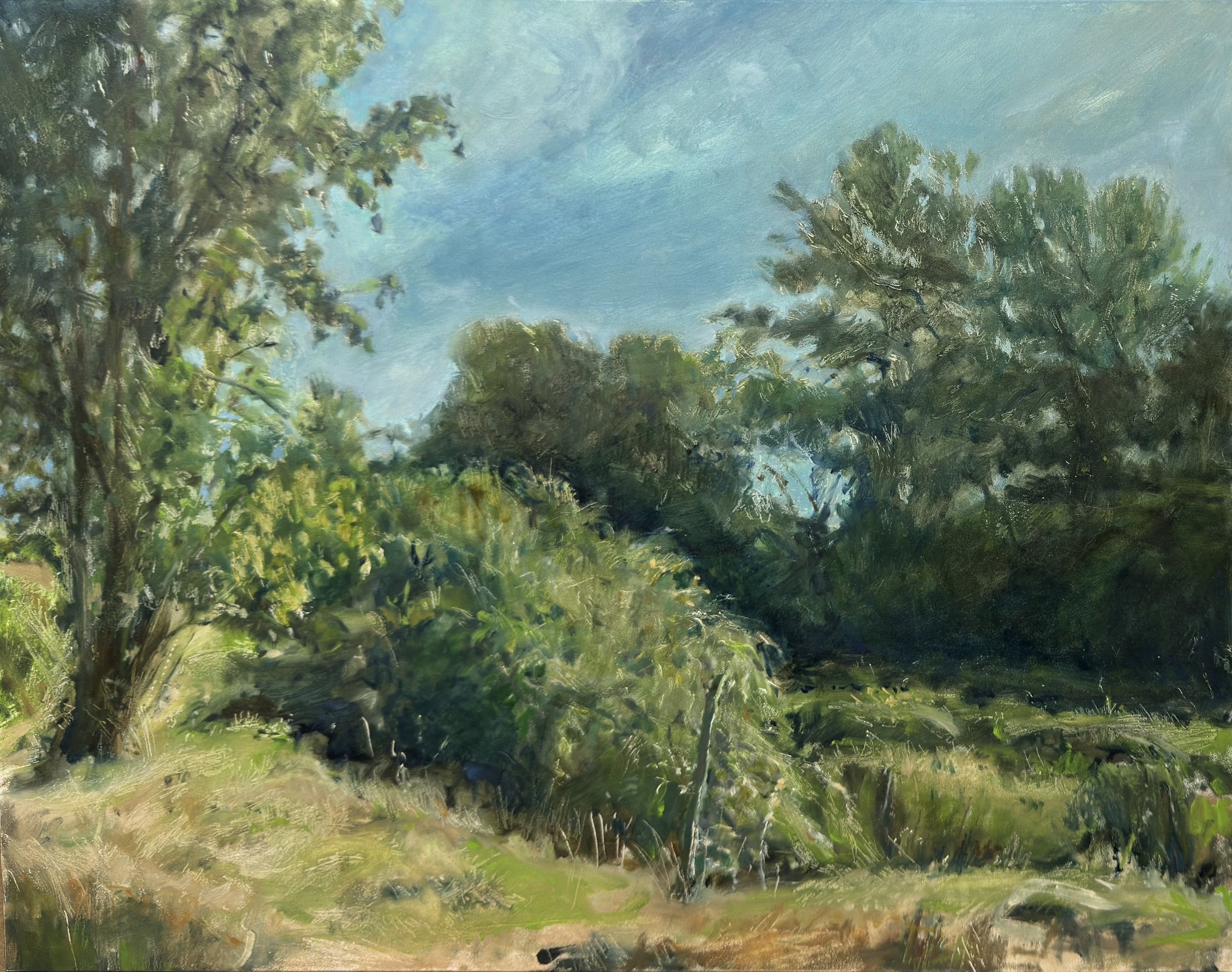 Fall City Green
11 x 14,  oil on gessobord
