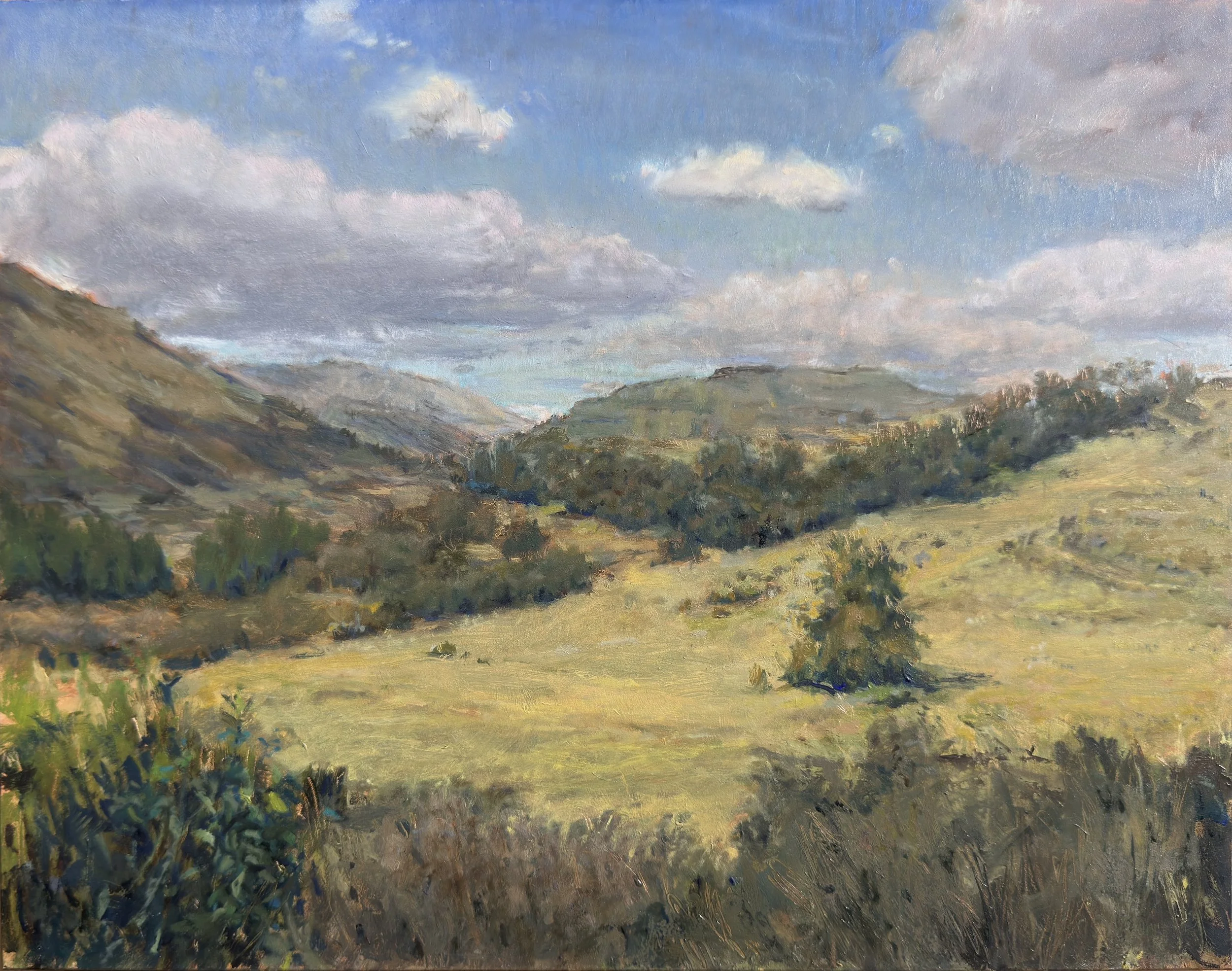 South American Meadow
11 x 14, oil on gessobord