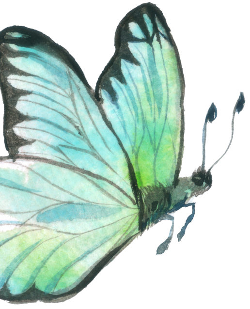 Watercolor illustration of a butterfly with green and blue wings.