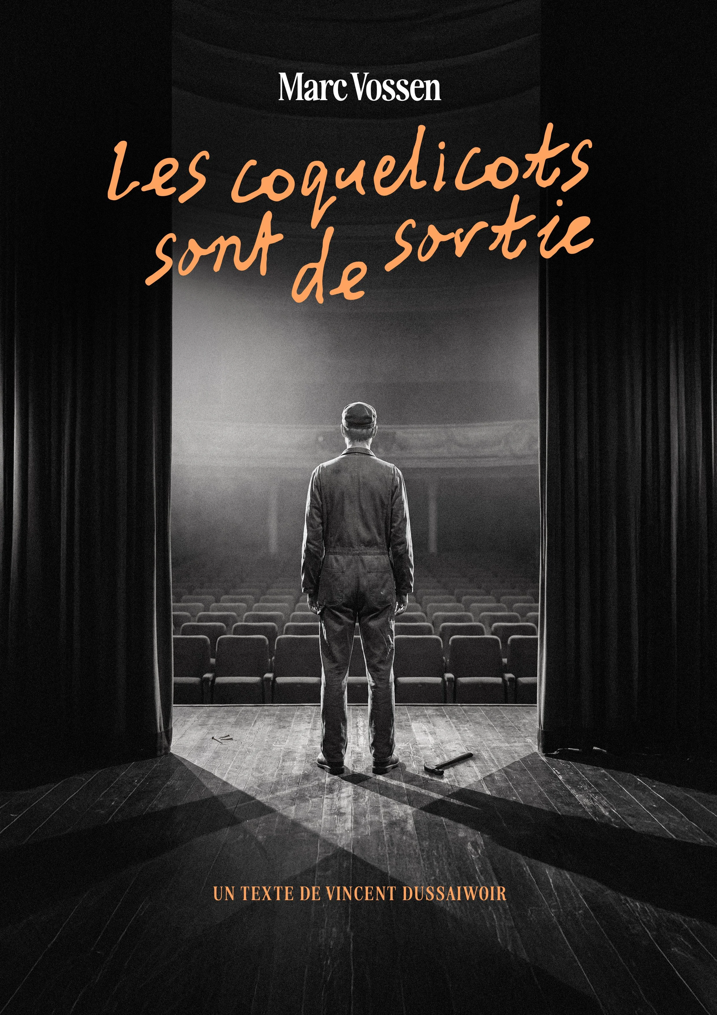 Une personne vue de dos sur une scène de théâtre, regardant un auditorium vide. Titre du spectacle en français : 'Les coquelicots sont de sortie', avec Marc Vossen, sur un texte de Vincent Dussaiwoir.