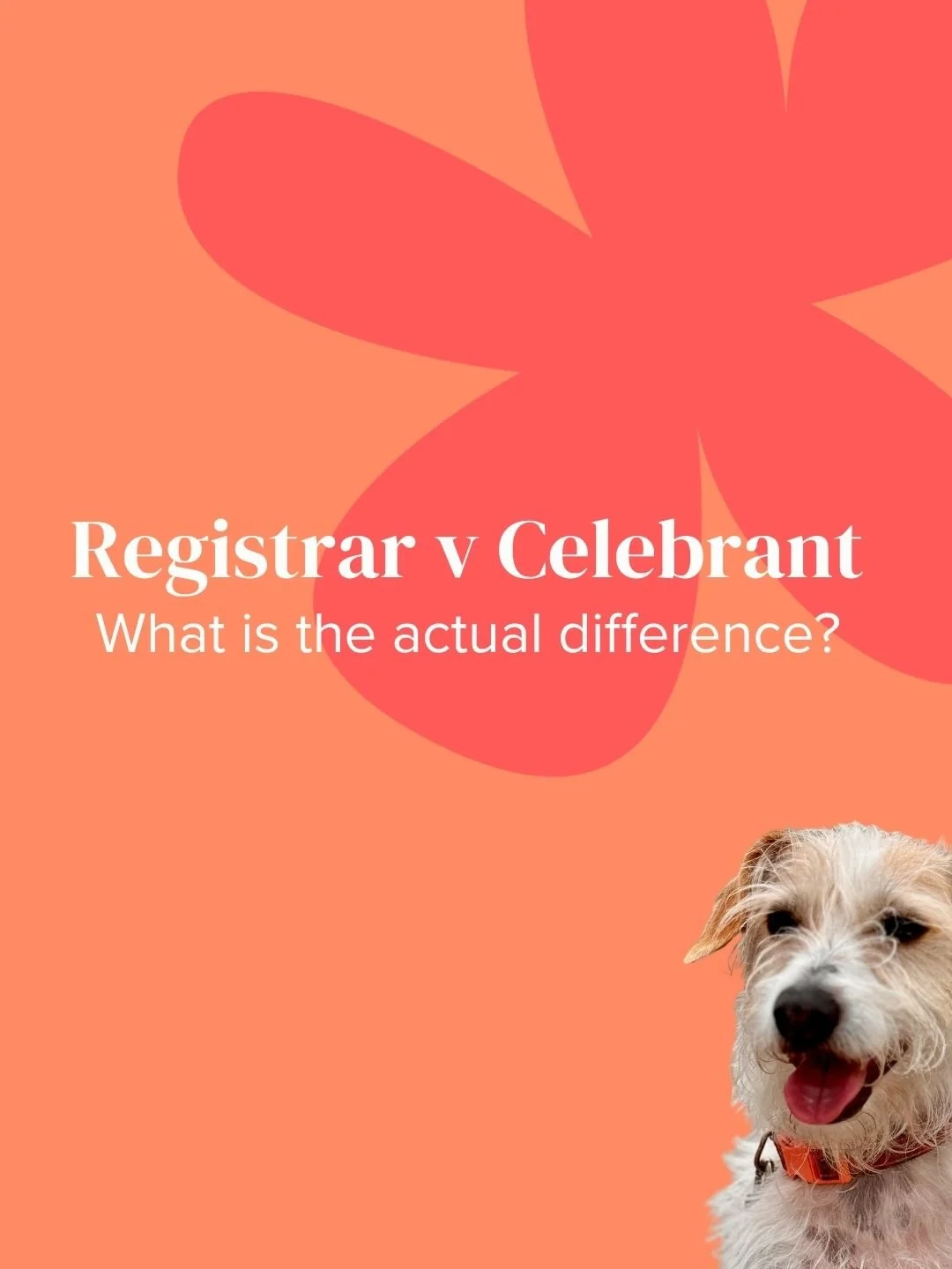 Registrar vs Celebrant: what’s actually the difference?