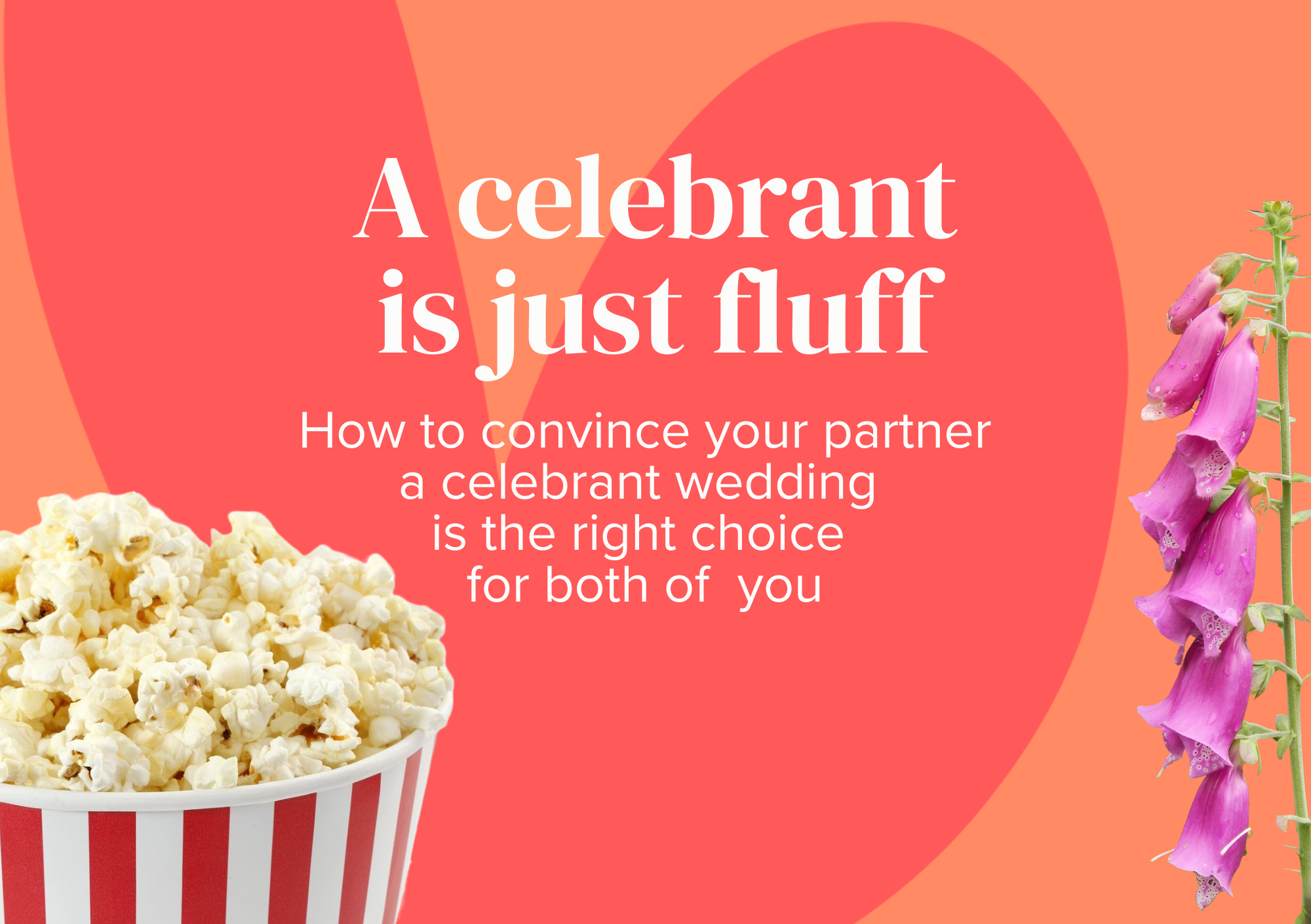 Your partner can’t see the point of a celebrant. Try this.
