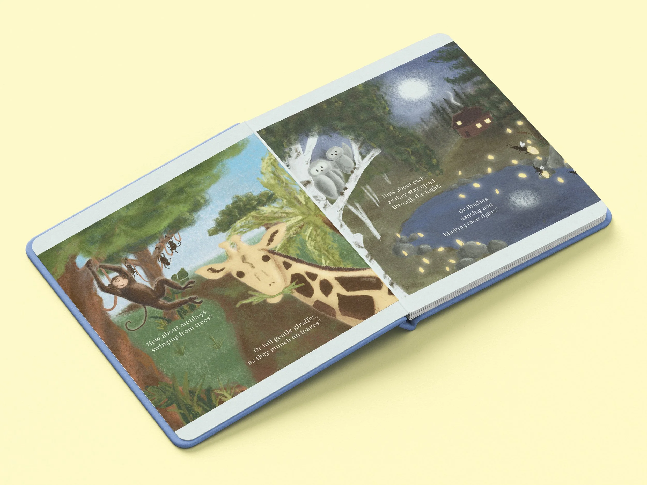 Illustration Book