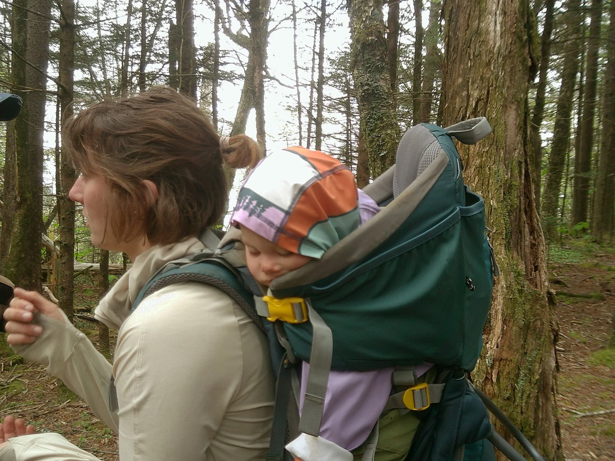 A woman with a child in a backpack carrier, both in outdoor clothing, hiking through a forest with tall trees and moss-covered trunks.