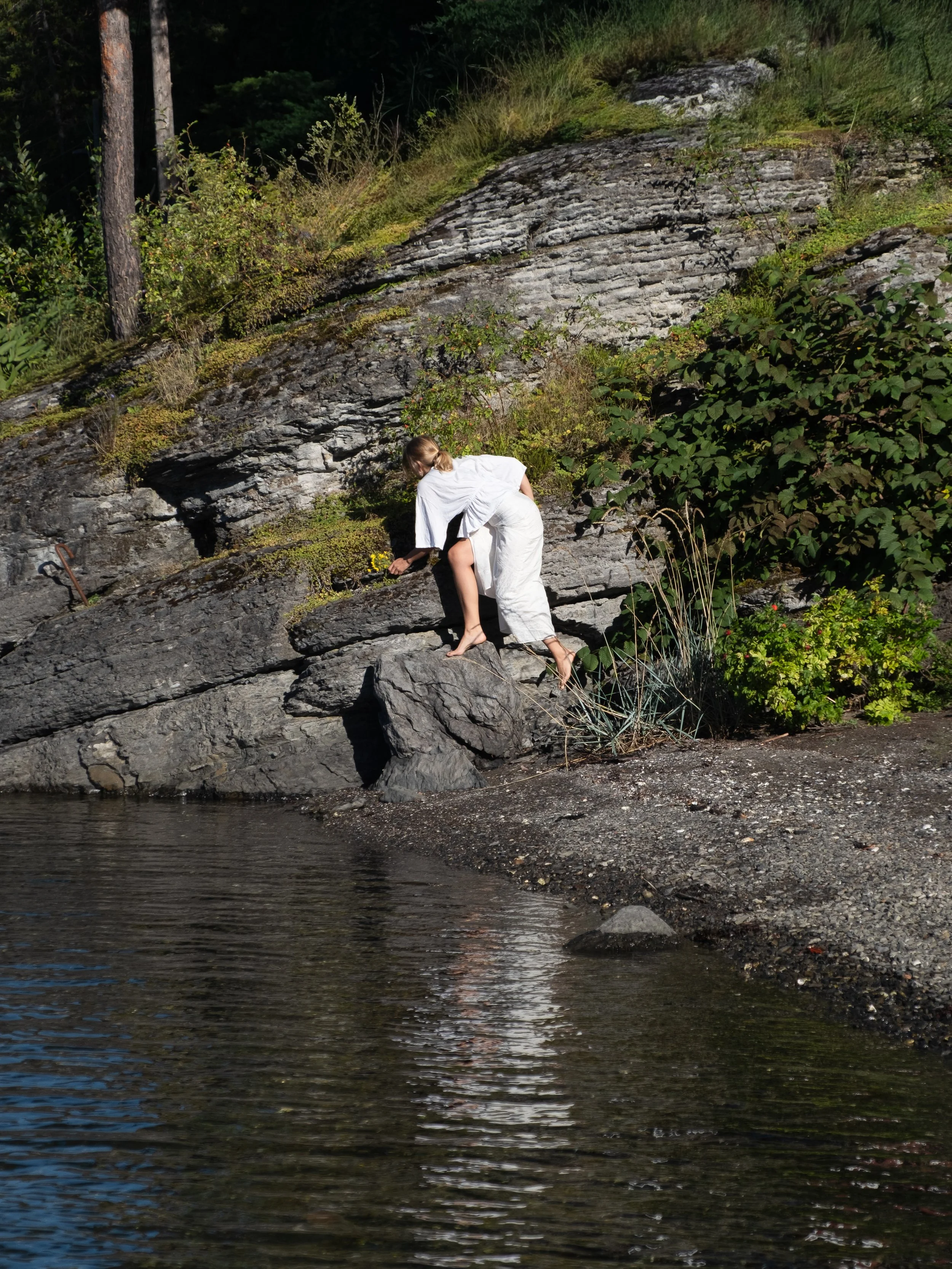DSCF0438.jpg
