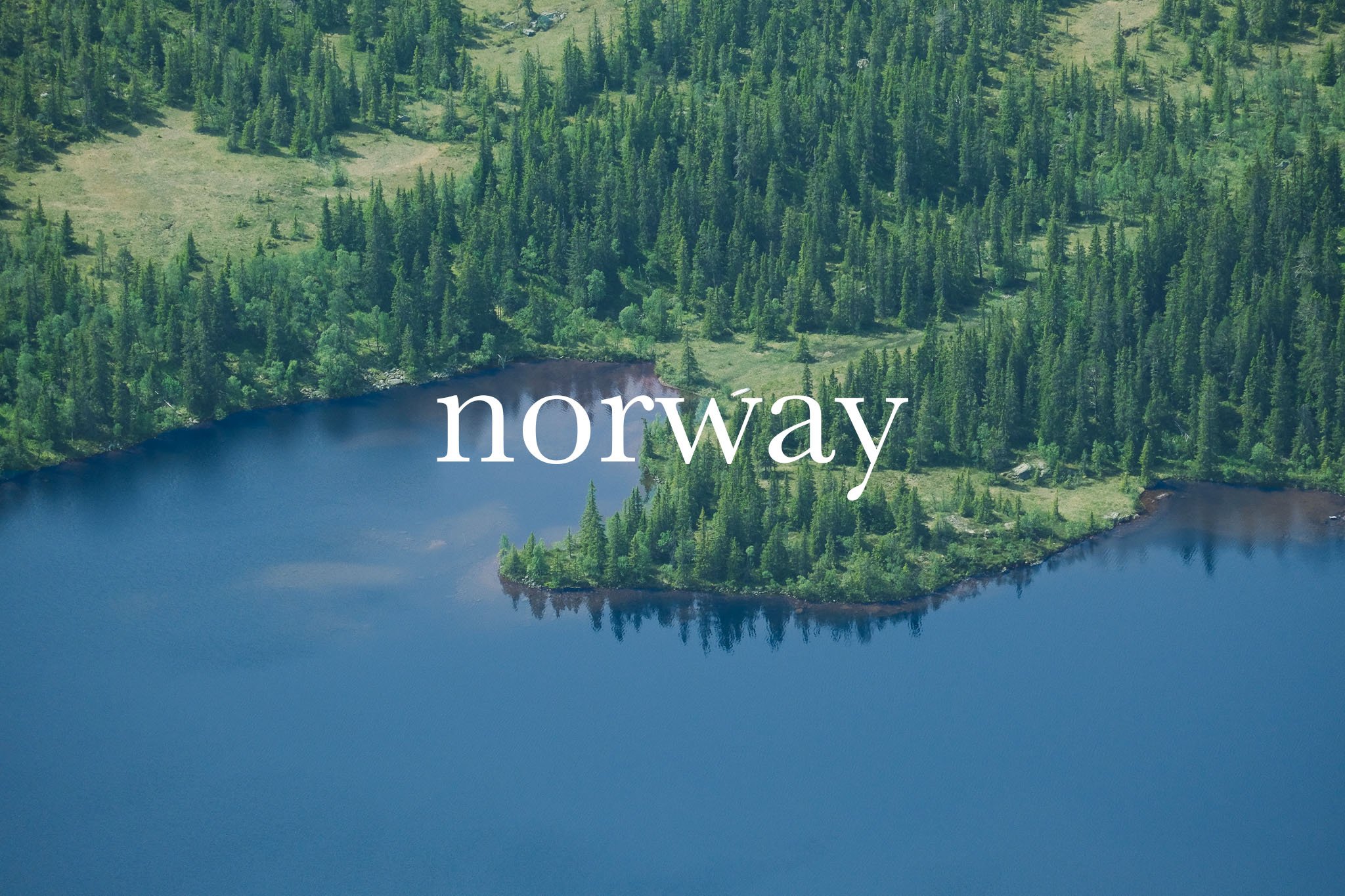 FUJI0305-kopi-7 kopi.jpg