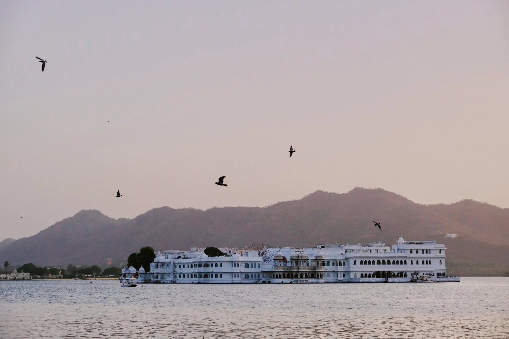 730D5CBF-D327-4D3C-AA21-6B1DC71FDFFD-5596-000006B2C83D5CE8-kopi 2.JPG