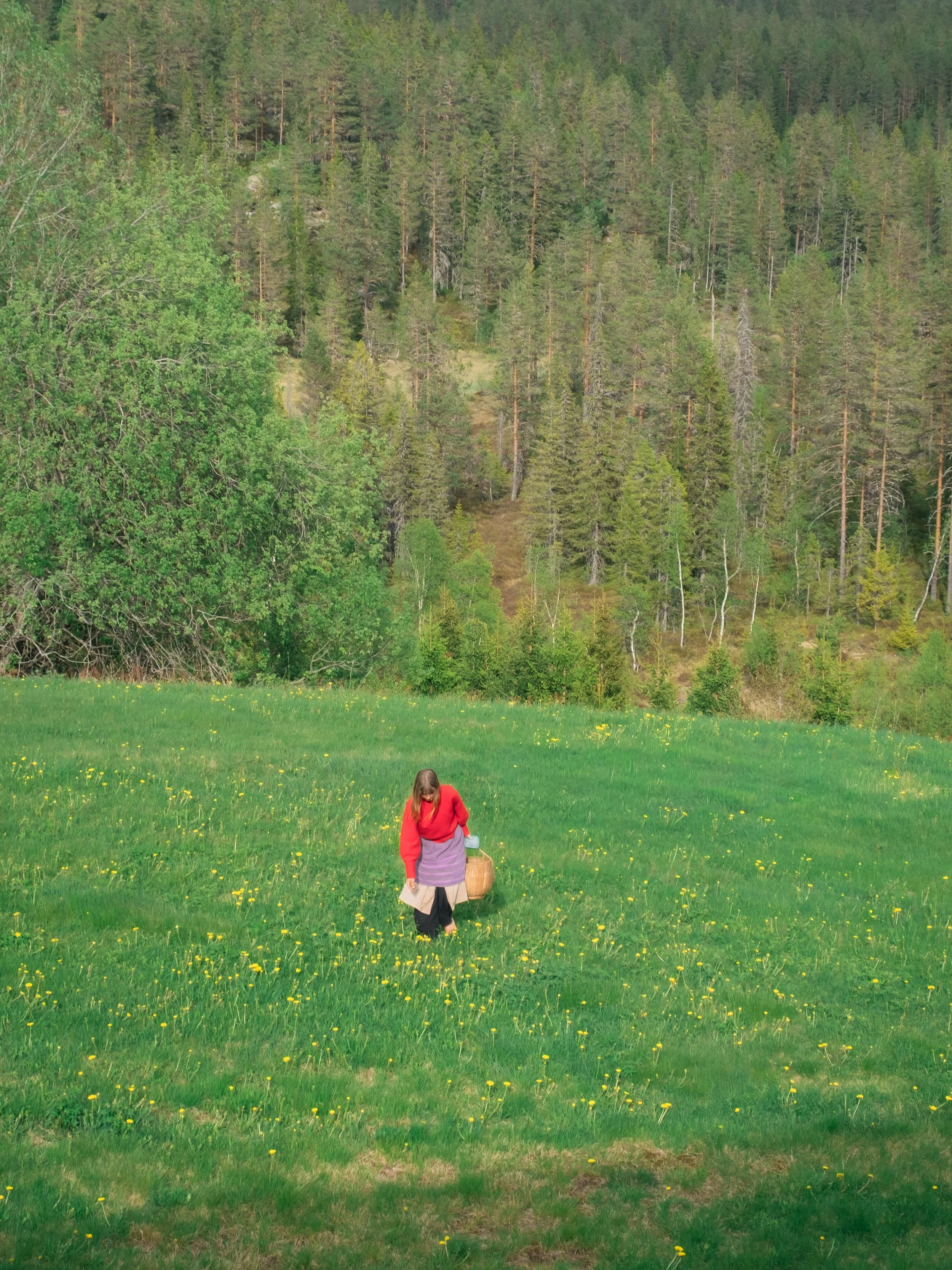 DSCF3836-3.jpg