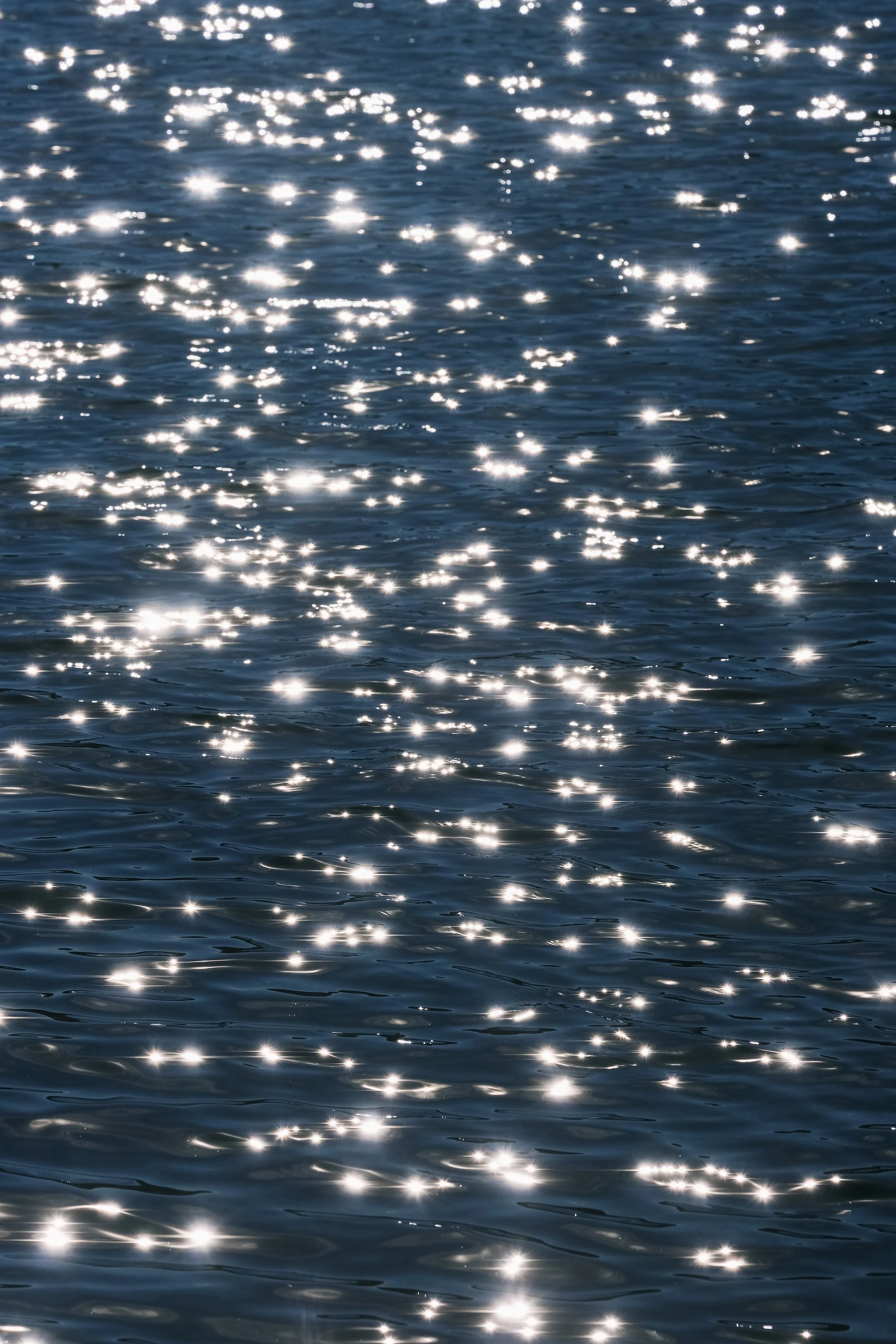 DSCF0543 2.jpg