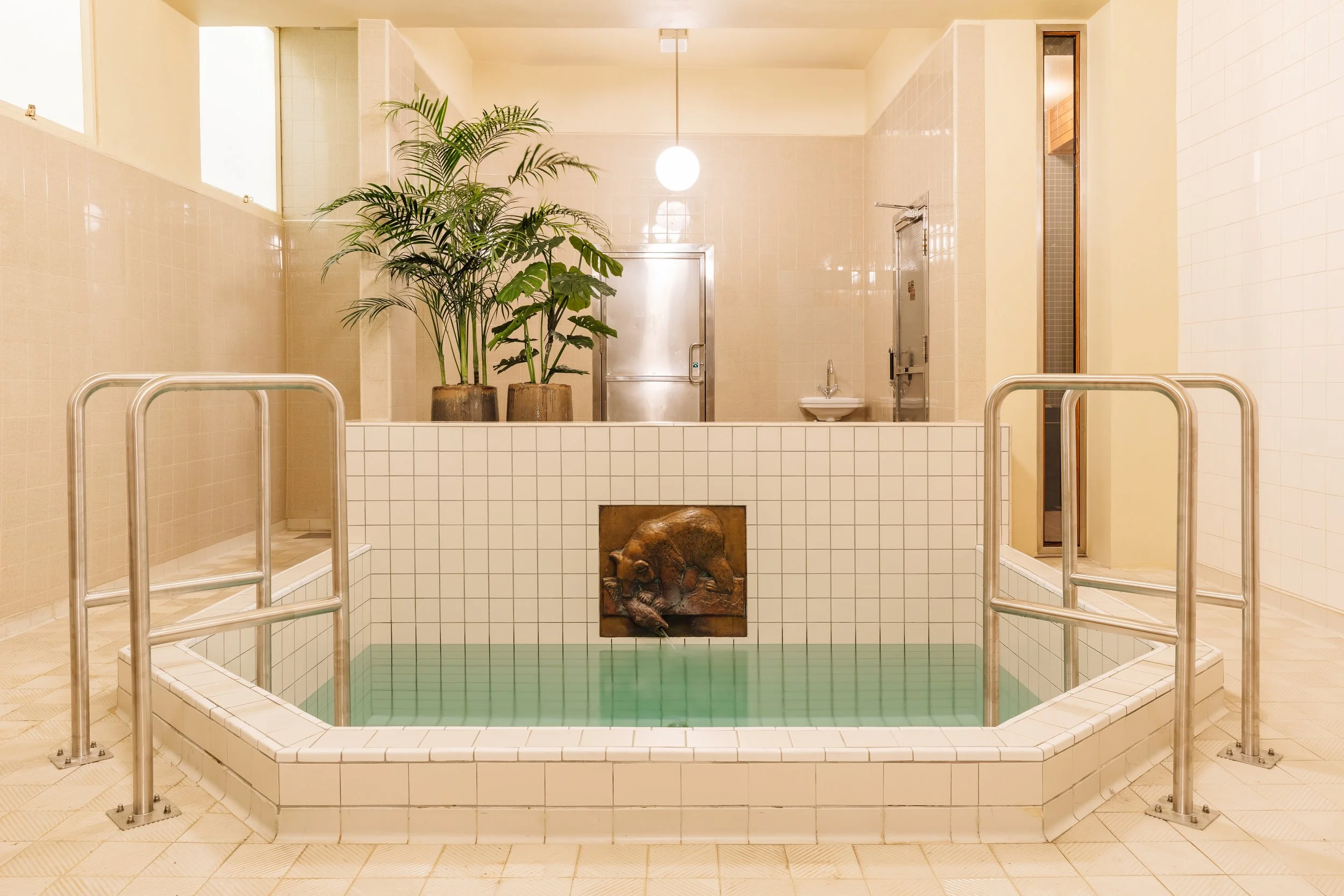 Francisco Nogueira -25686.jpg