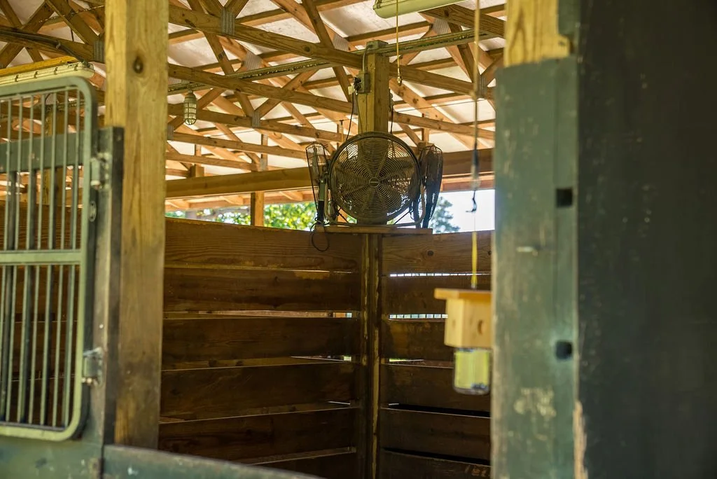 Stalls with Fans and Gates