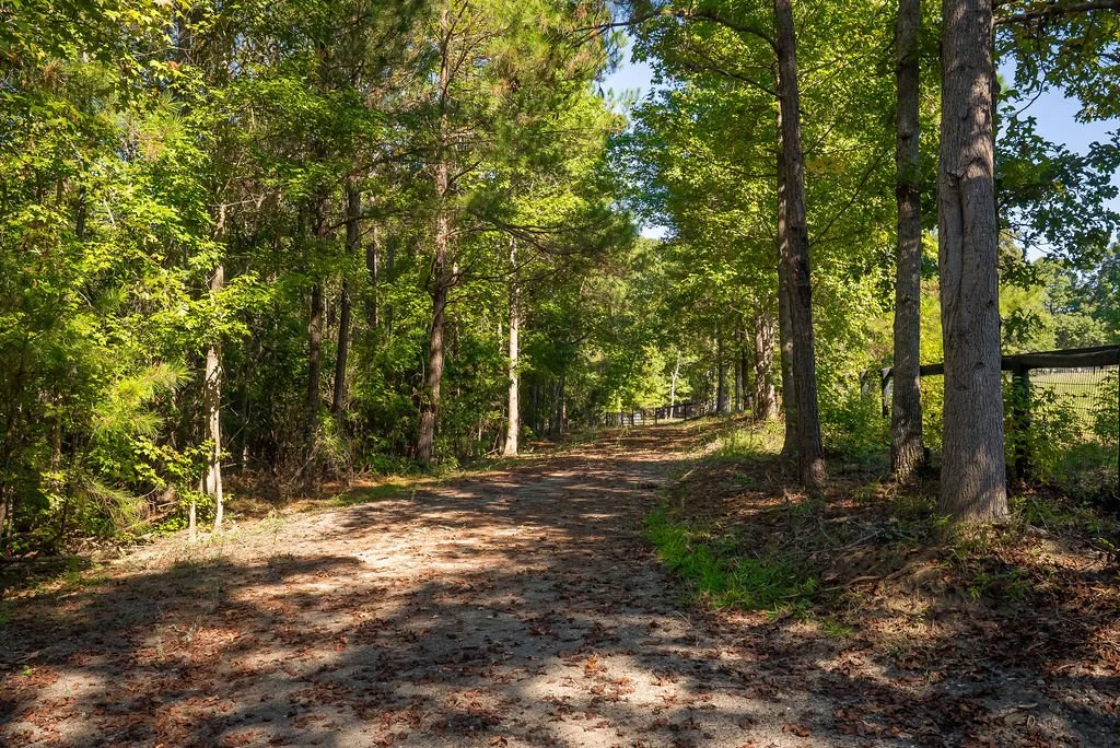 Hacking Trail to Butler Road