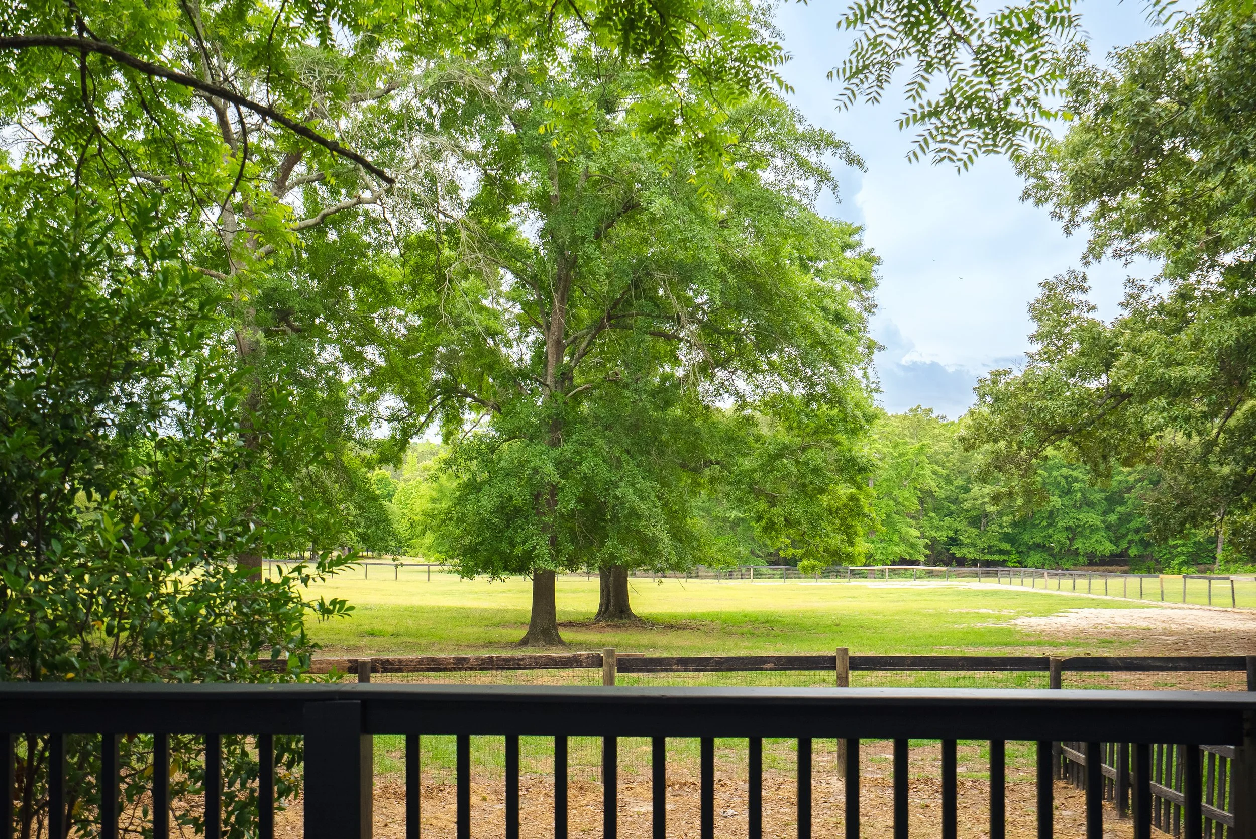 Relax and enjoy the peace and quiet of nature on the back porch.
