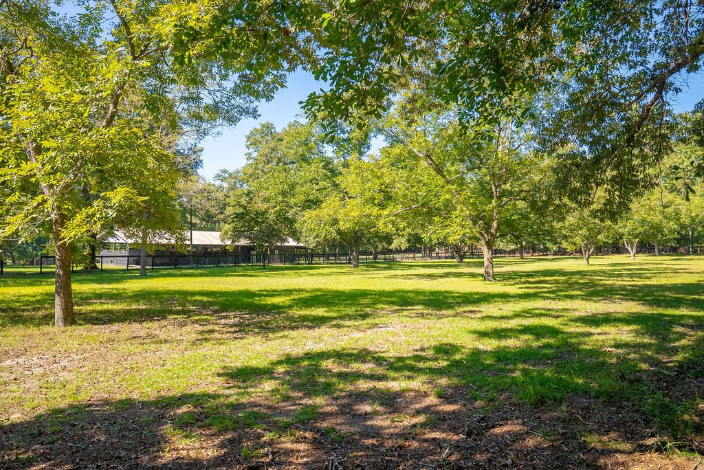 Pecan Pasture with barn in the background