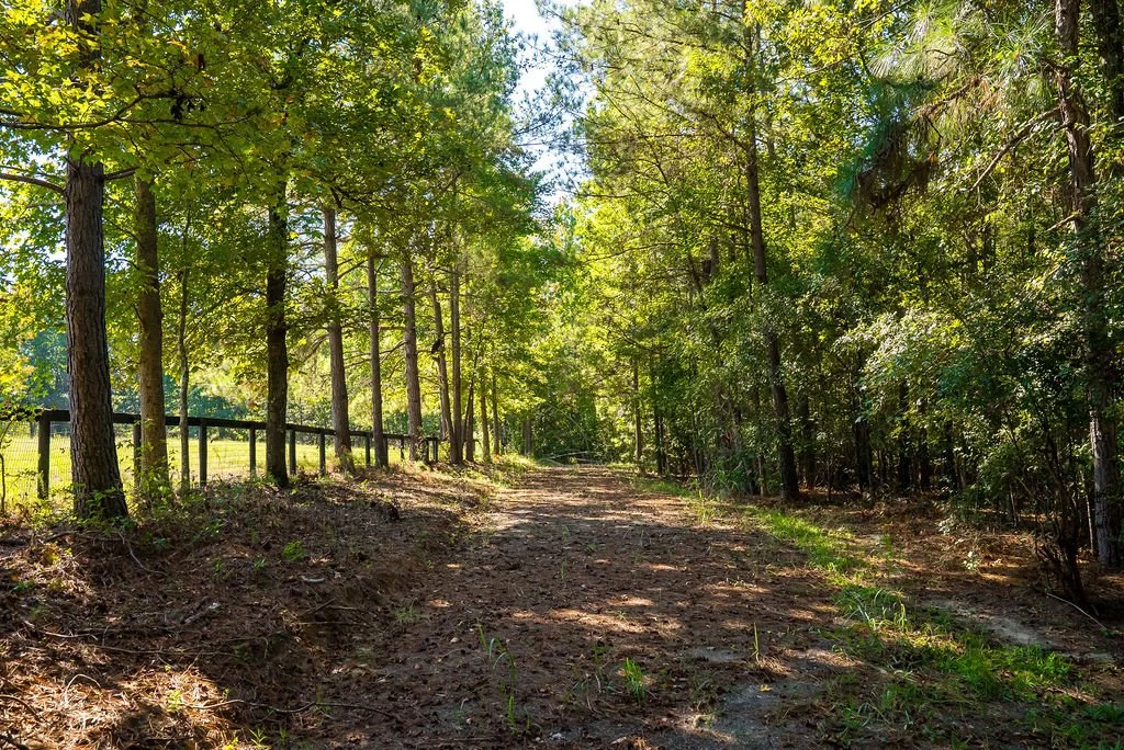 Hacking trail to Butler Road