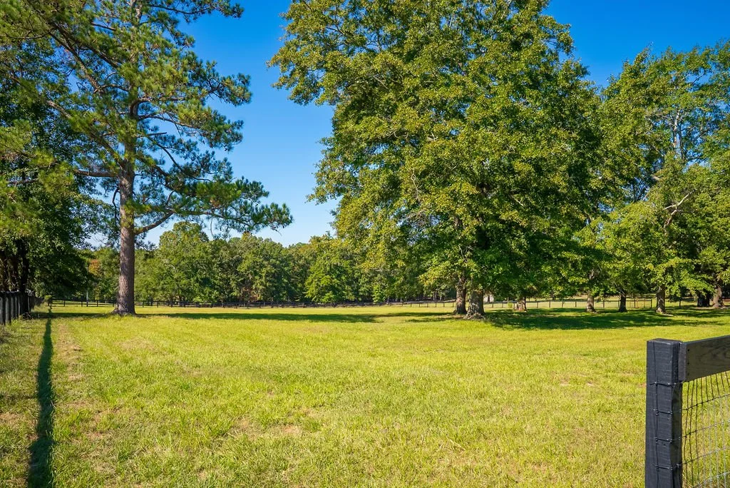 Cottage Pasture