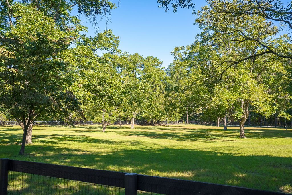 Pecan Pasture adjacent to Shedrow Barn