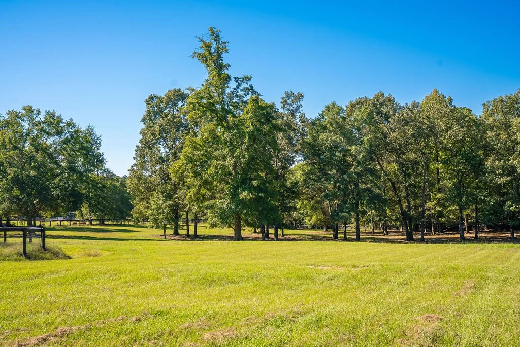 Main Pasture
