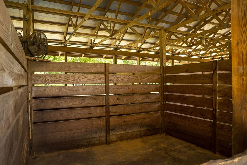 12x12 Rubber-matted stalls with fans
