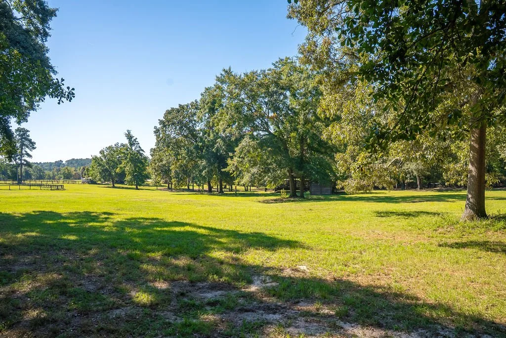 Main Pasture