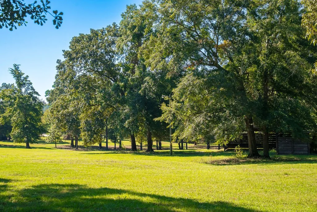 Main Pasture