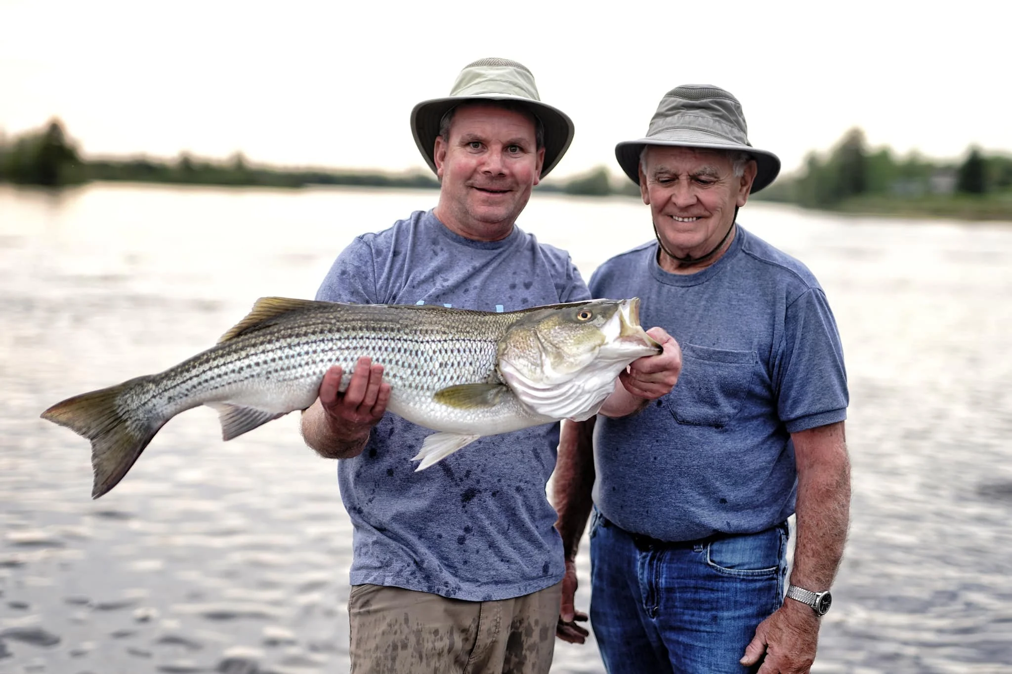 Striped bass guided tours in Miramichi New Brunswick