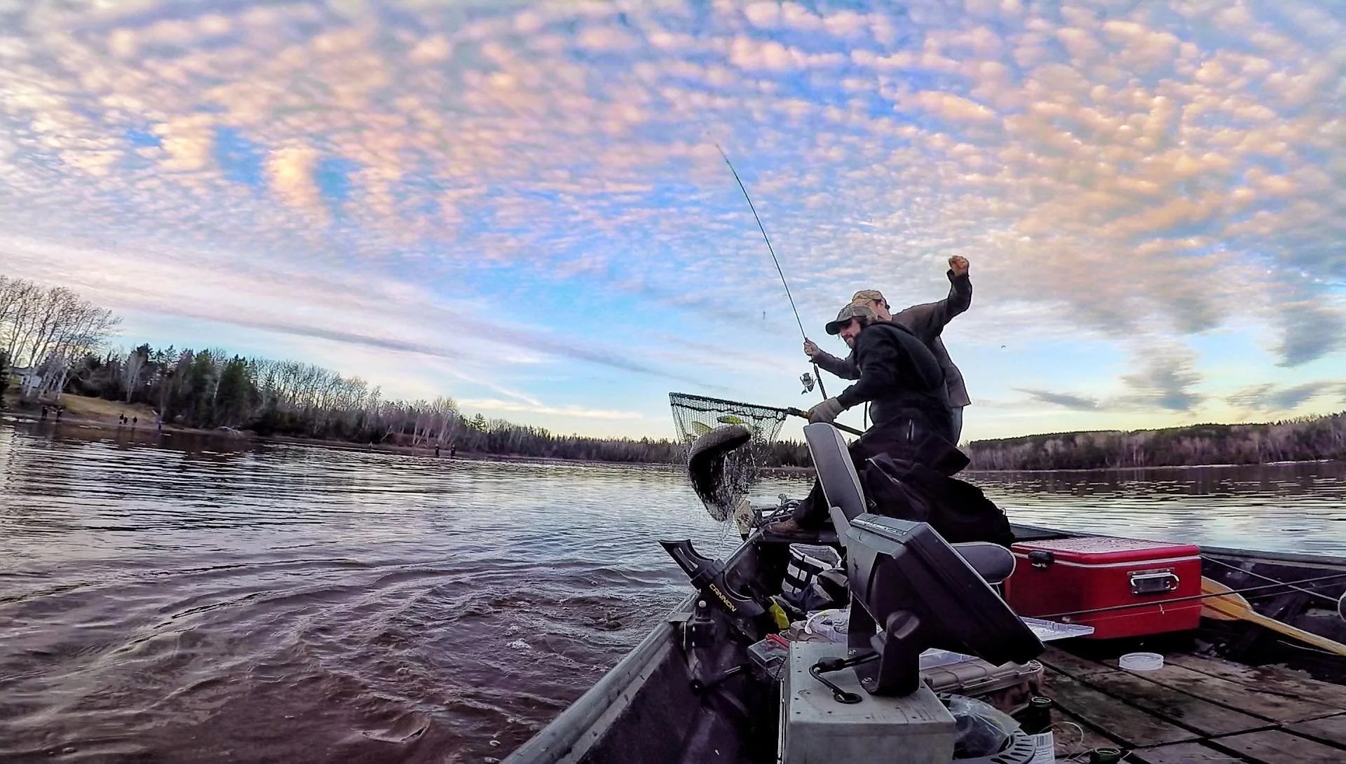 Striped bass guided tours in Miramichi New Brunswick