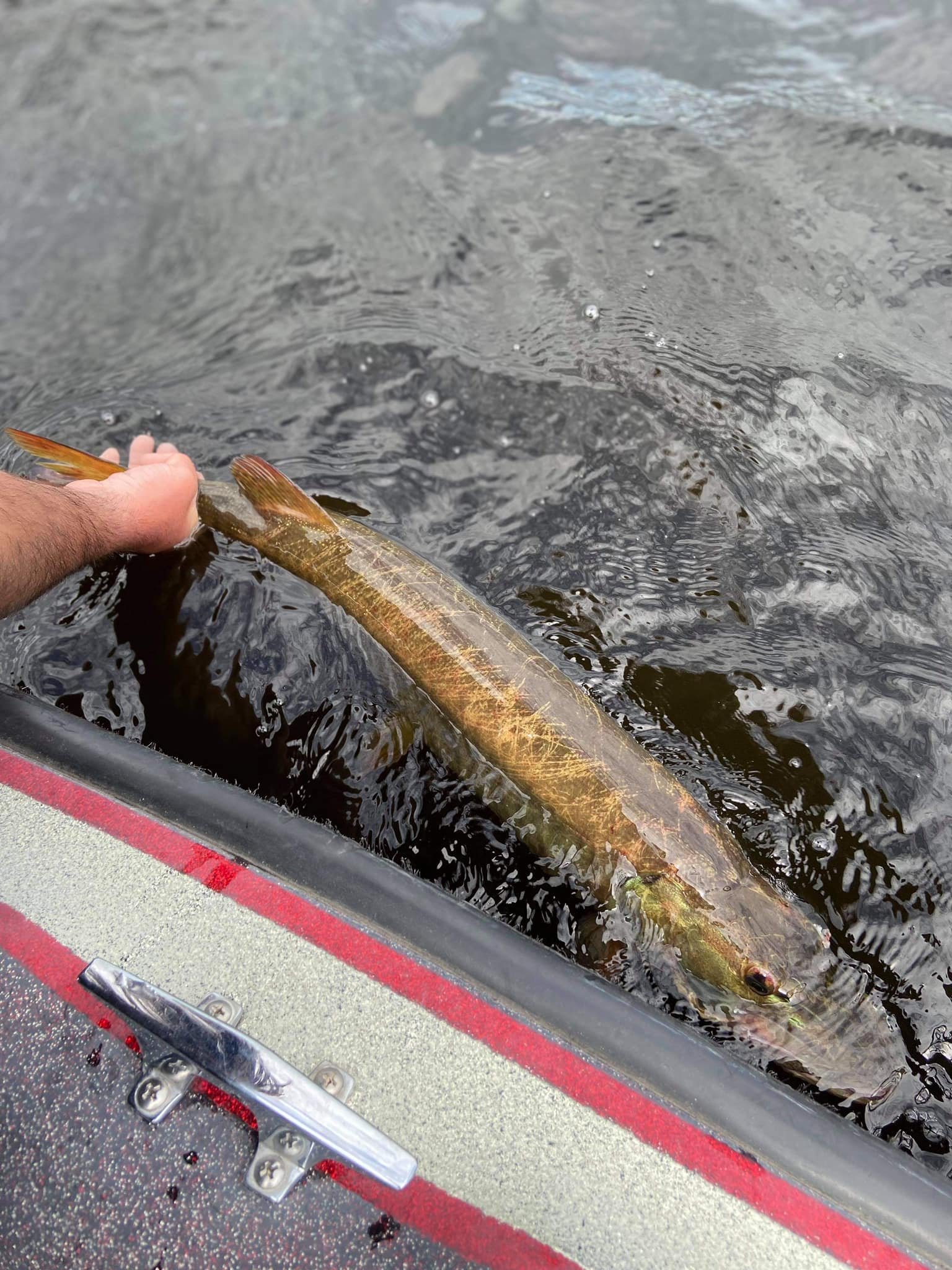 Muskie guided tours in Woodstock New Brunswick