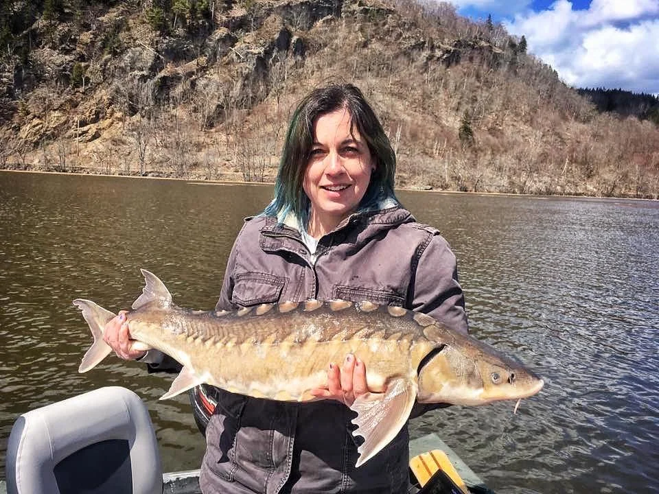 Sturgeon guided tours in Hampton New Brunswick