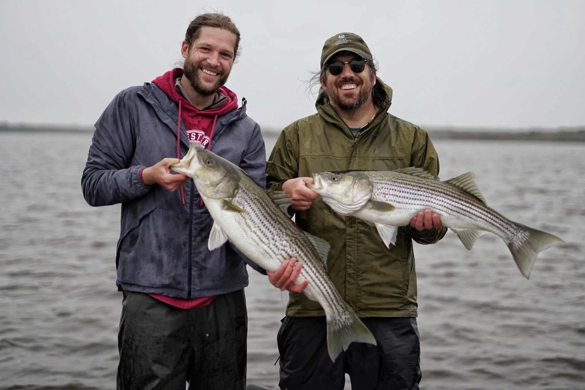 Striped bass guided tours in Miramichi New Brunswick