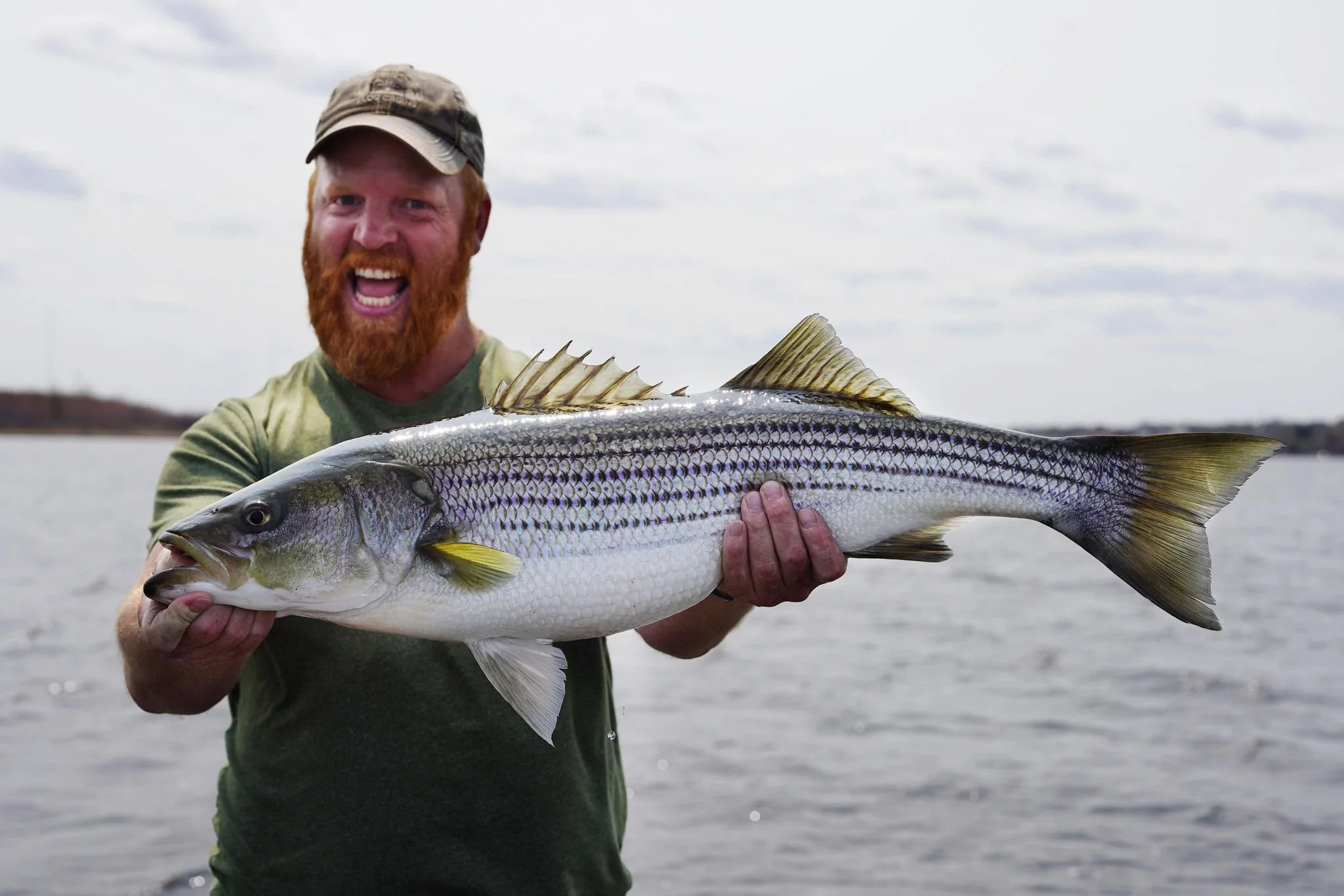Striped bass guided tours in Miramichi New Brunswick