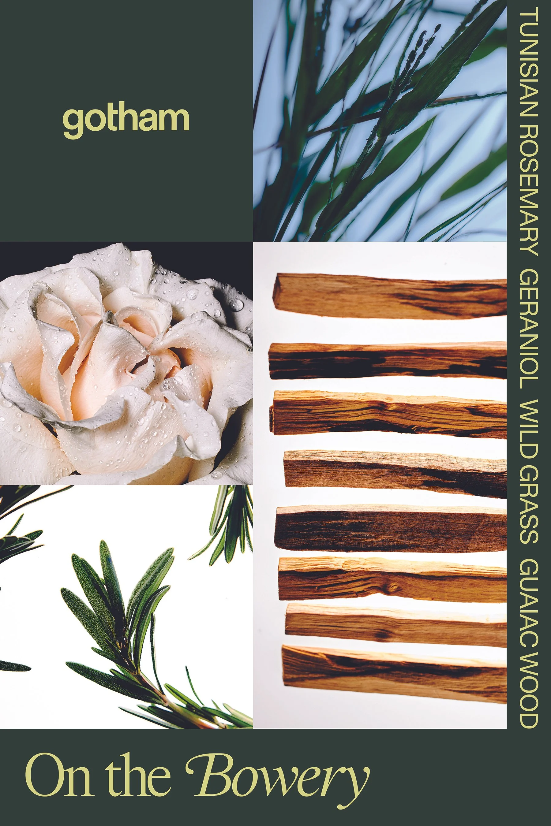 Concept and creative direction for Gotham, photography by Adam Whyte.