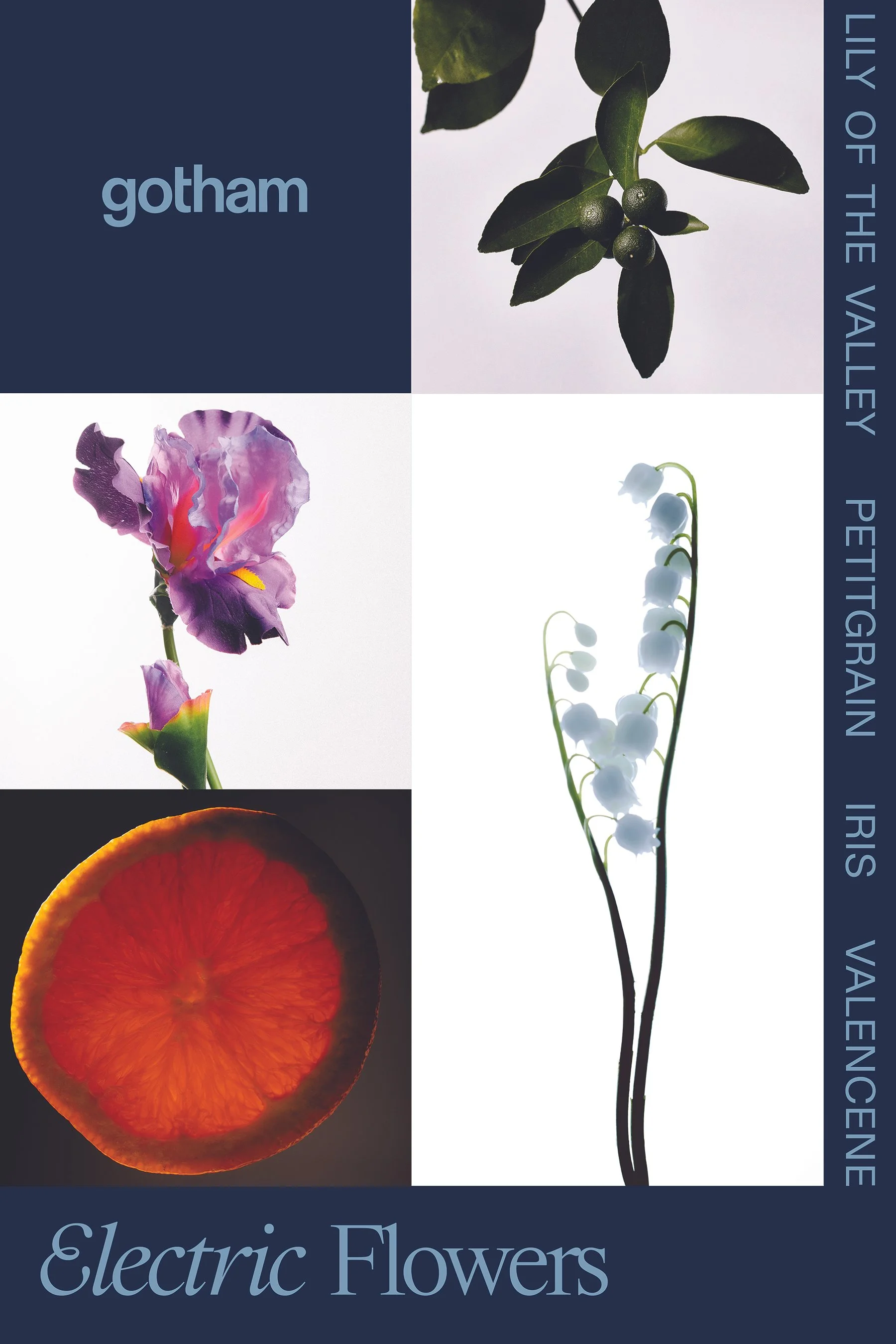 Concept and creative direction for Gotham, photography by Adam Whyte.