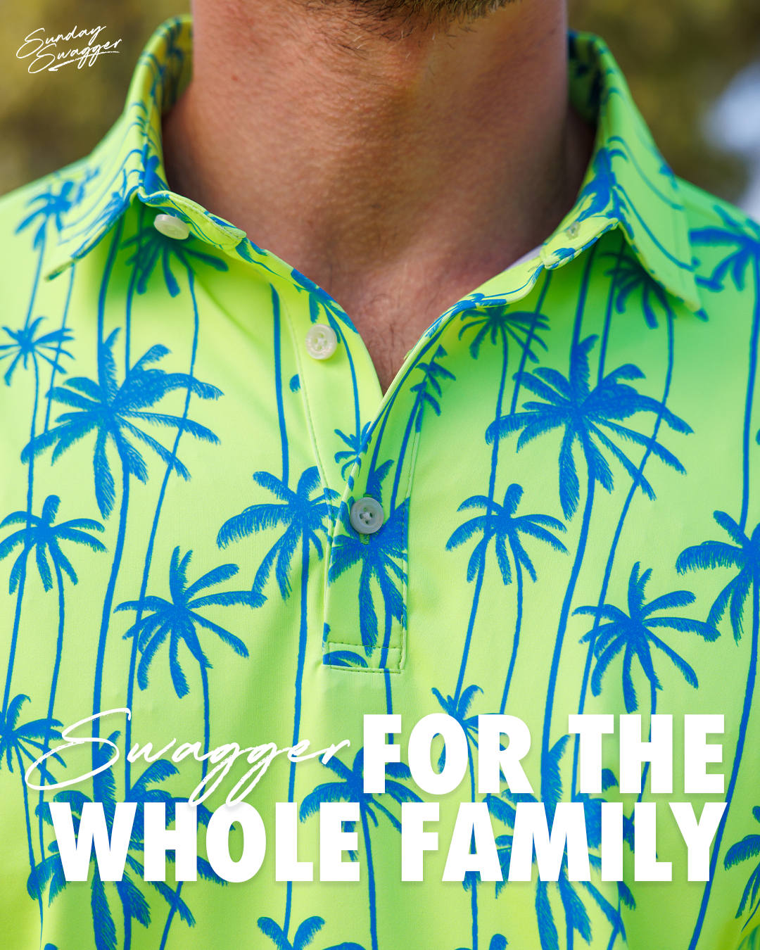 SS_P17 Batch C_A1_v1.png