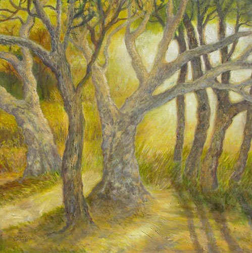 Old Grove,
18 x 18 inches,
Oil on canvas,
$950