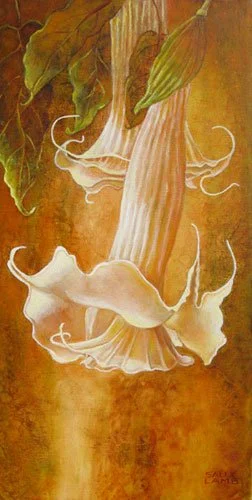 Brugmansia 4,
16 x 8 inches,
Oil on canvas,
$950 SOLD