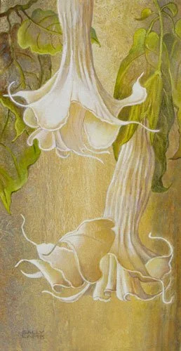 Brugmansia 7,
16 x 8 inches,
Oil on canvas,
$950