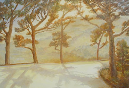 Pines Overlooking Paseo Miramar,
20 x 30 inches,
Oil on canvas,
$2200