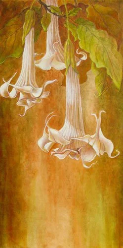 Brugmansia 8,
24 x 12 inches,
Oil on canvas,
$1200,
SOLD
