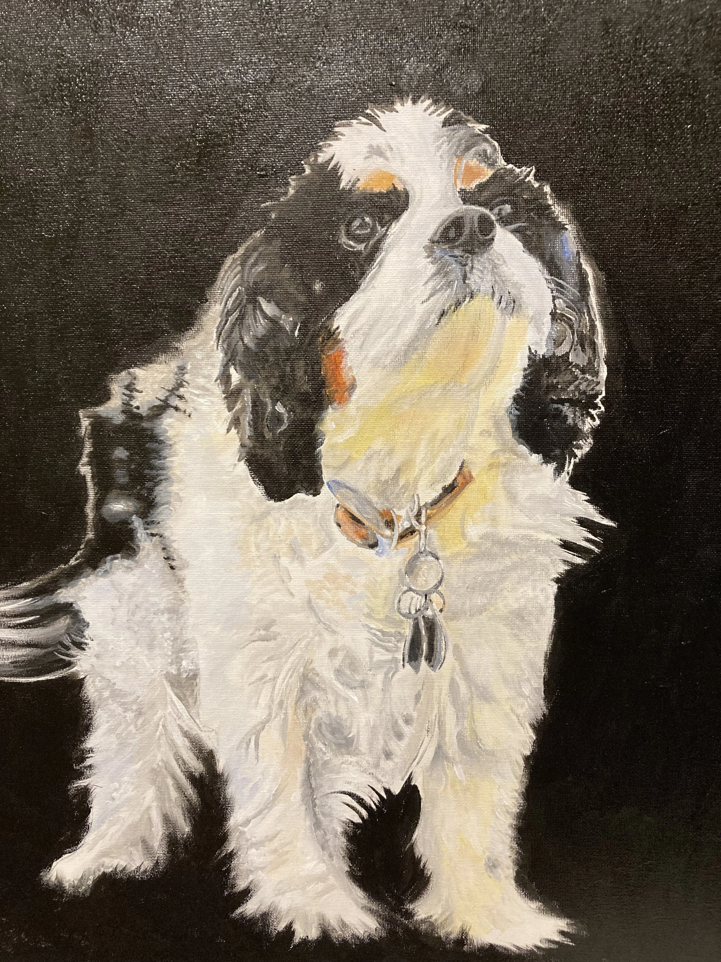 Painting of a Bernese Mountain Dog puppy with a black background.
