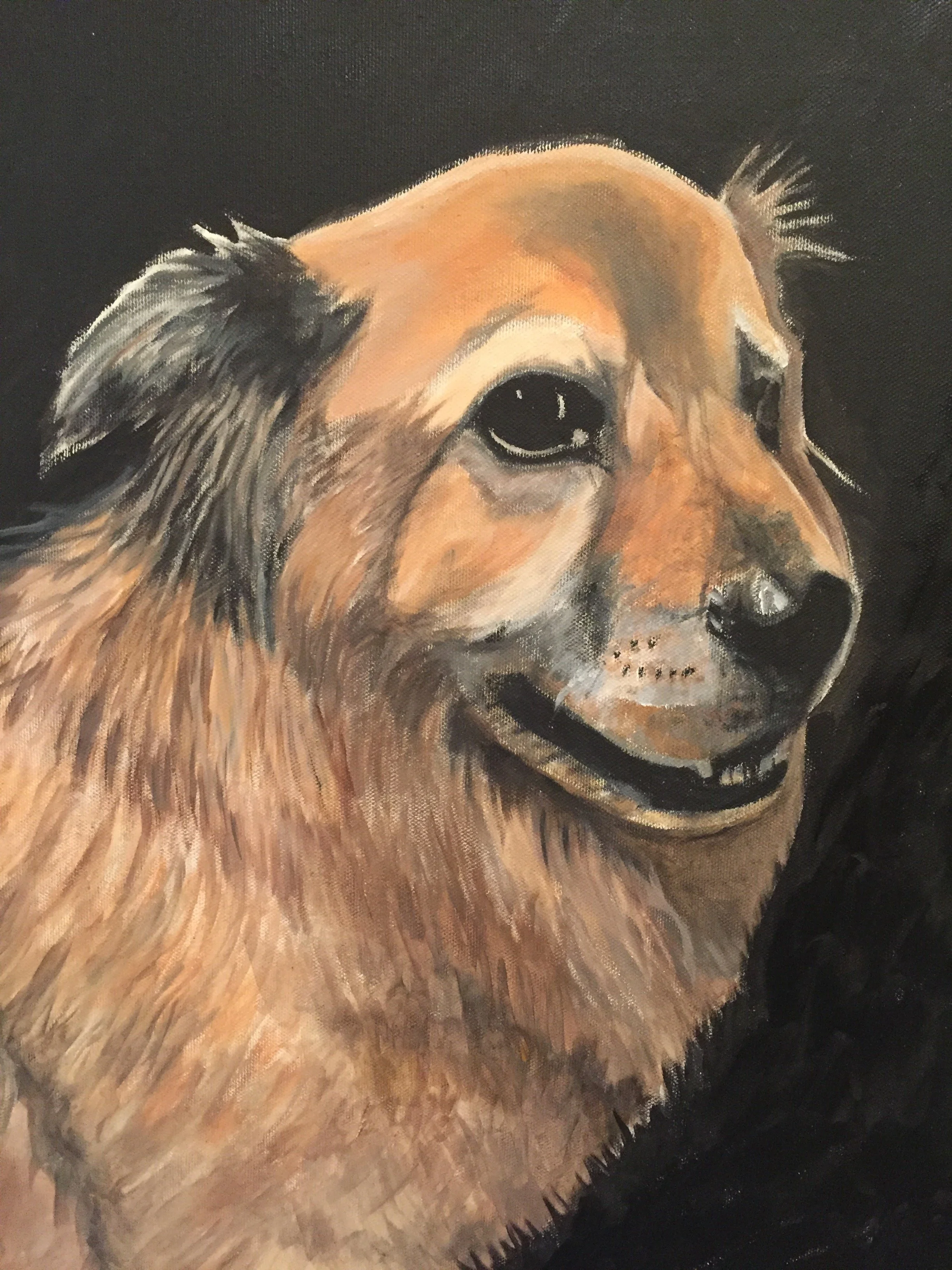 Painting of a happy dog with a black background