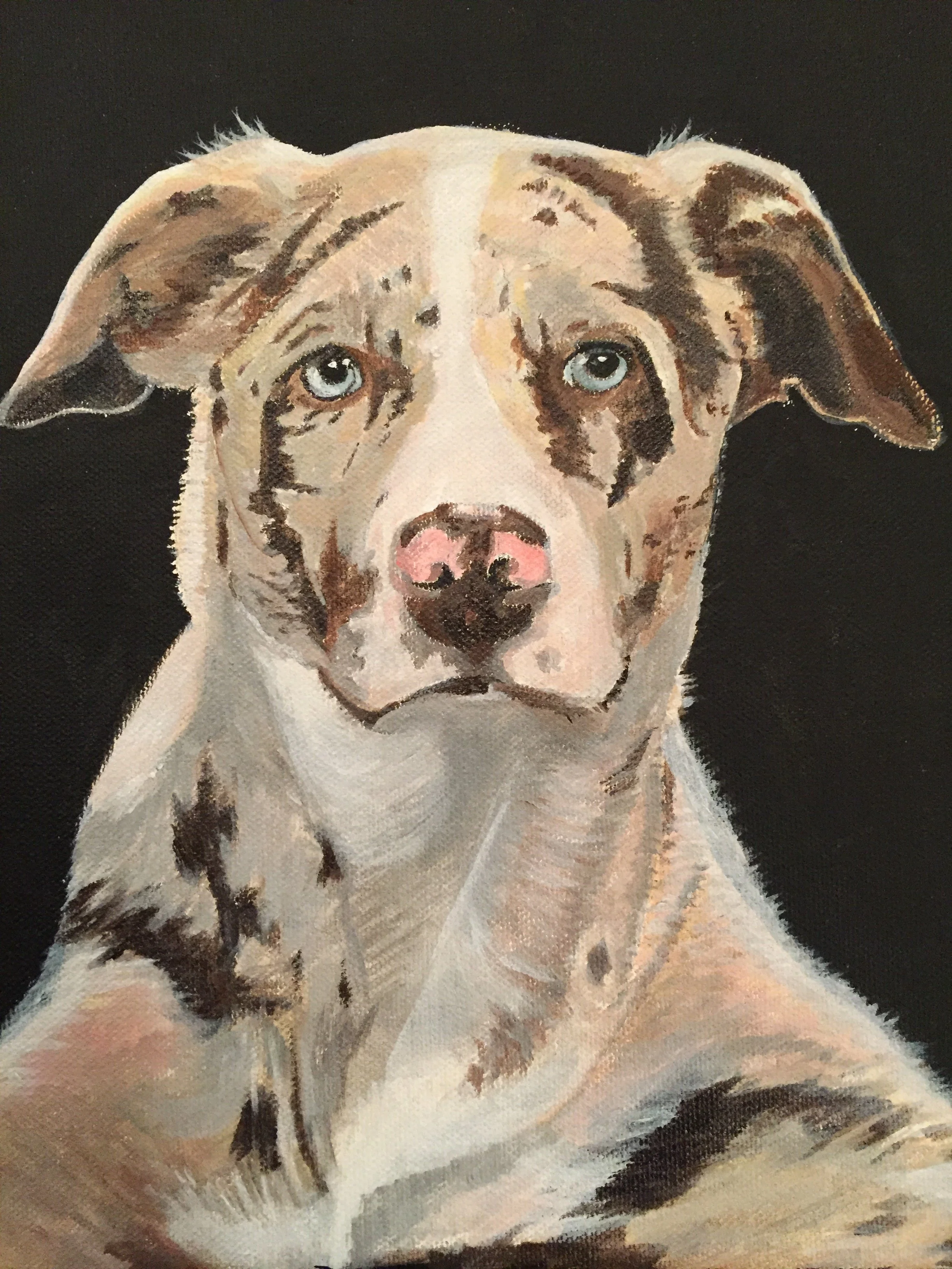 Painting of a dog with a white coat and gray and brown markings, blue eyes, and a pink nose against a black background.