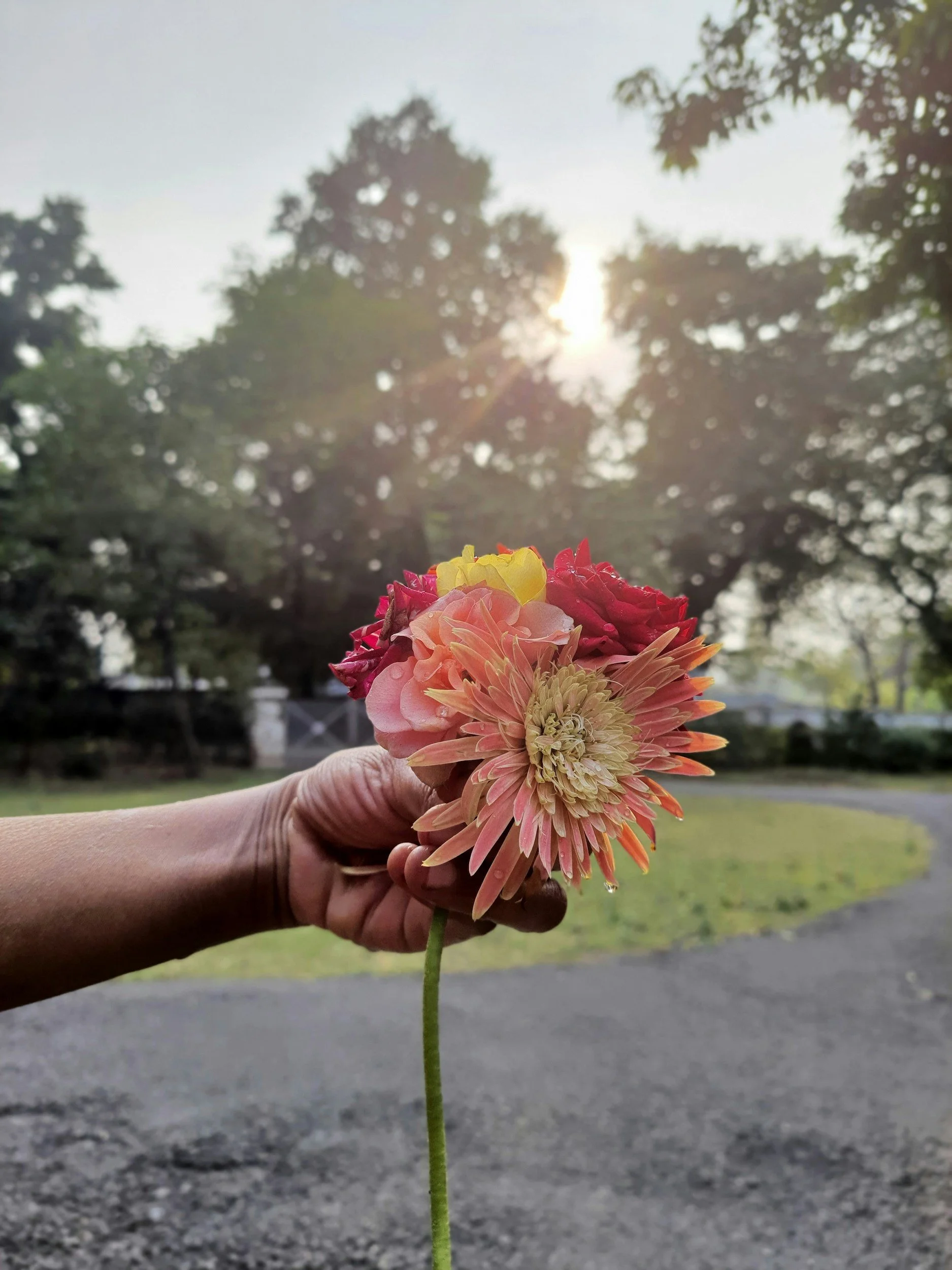 A Return to Gratitude