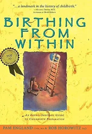Book cover titled 'Birthing from Within' by Pam England and Rob Horowitz, with a yellow background, an illustration of a mother and child, and a ladder with a cradle.